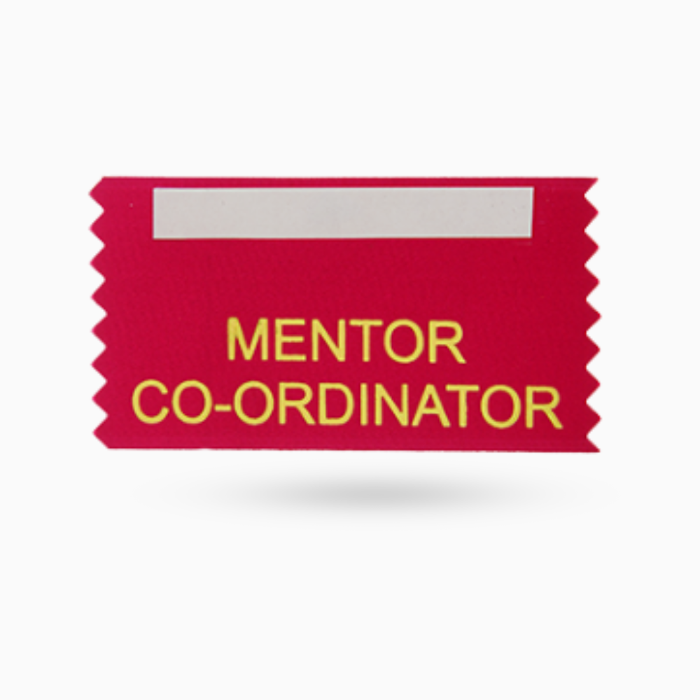 Mentor Co-Ordinator